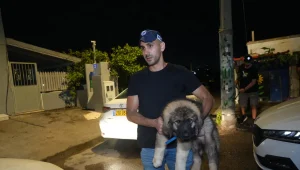 התעללות מחרידה: נעצר חשוד שהשליך גורי כלבים לים בחיפה