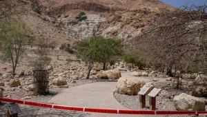 חקירת האסון בנחל: הסלעים הידרדרו מעבר לרשת הביטחון