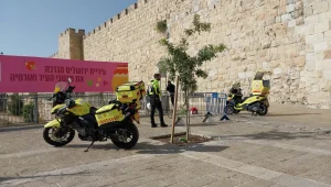 פיגוע דקירה בירושלים: גבר כבן 50 נפצע בינוני, המחבל נעצר
