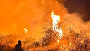 חשד להצתה: שריפת ענק באזור פארק הירדן, אלפי דונמים עלו באש