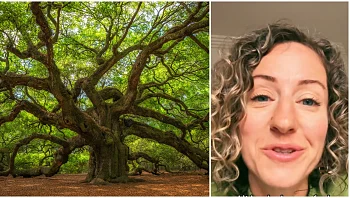 אישה חושפת: אני במערכת יחסים אינטימית עם עץ