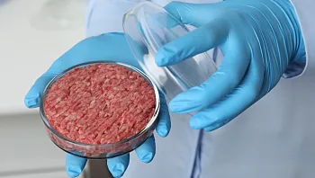 לראשונה בעולם: ישראל אישרה מכירת בשר מתורבת מבוסס בקר