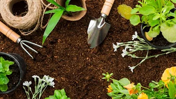 להבין את הצורך המשפחתי: 5 עקרונות מובילים בתכנון להקמת הגינה המושלמת