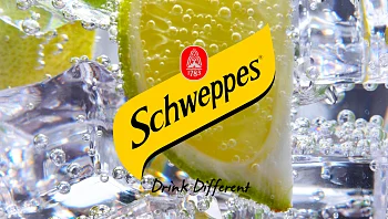 מתכונים לקוקטיילים עם משקאות Schweppes: ג'ינג'ר אייל