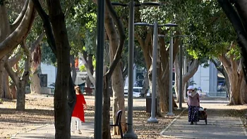 דווקא במדינה חמה ולחה: למה בישראל אין כמעט צל ברחובות?