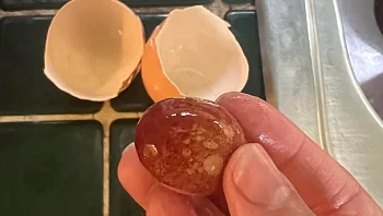 ביצה והפתעה: שברה ביצה ונדהמה ממה שהיה שבתוכה