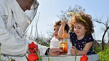 דבש ניגר: המלצות לפעילויות לכל המשפחה בחודש ספטמבר ובחגים