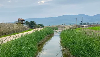 התחזית: מזג אוויר שמשי ונוח, מעונן ללא גשם בשבת