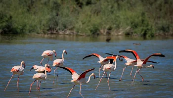 התחזית לשבת: סיכוי לגשמים מקומיים, חשש להצפות ולשיטפונות