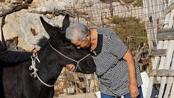 מרגש: בת 80 שחיה לבדה על אי בודד קיבלה במתנה חמור