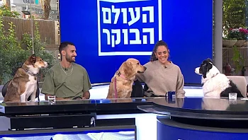 טיפלו בנפגעי המלחמה עם כלבים והתאהבו: "אהבה ללא תנאים"