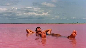 תופעות טבע נדירות: האגם הורוד באוטרליה אשר בולט למרחוק