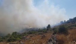 ×™×¢×§×' ××™×œ×•×Ÿ 01 08 19 ×