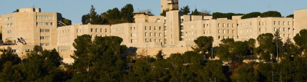 דירוג האוניברסיטאות בעולם: עליות למוסדות האקדמיים הישראליים