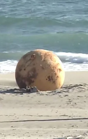 תעלומה ביפן: כדור ברזל מסתורי בקוטר מטר וחצי הופיע בחוף