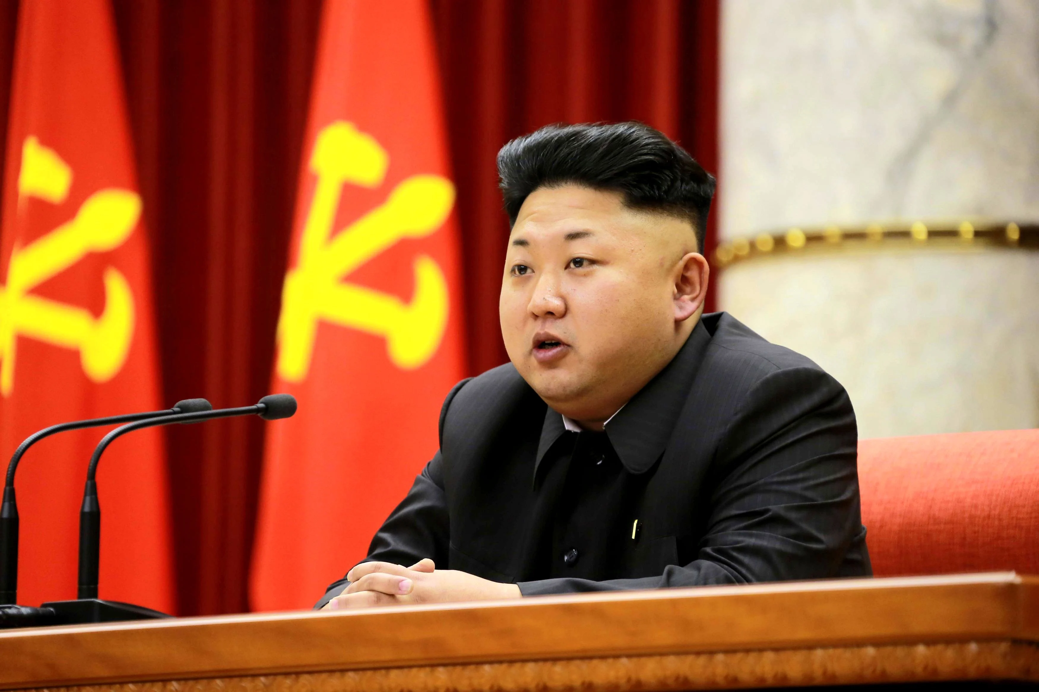 מנהיג קוריאה הצפונית, קים ז'ונג און