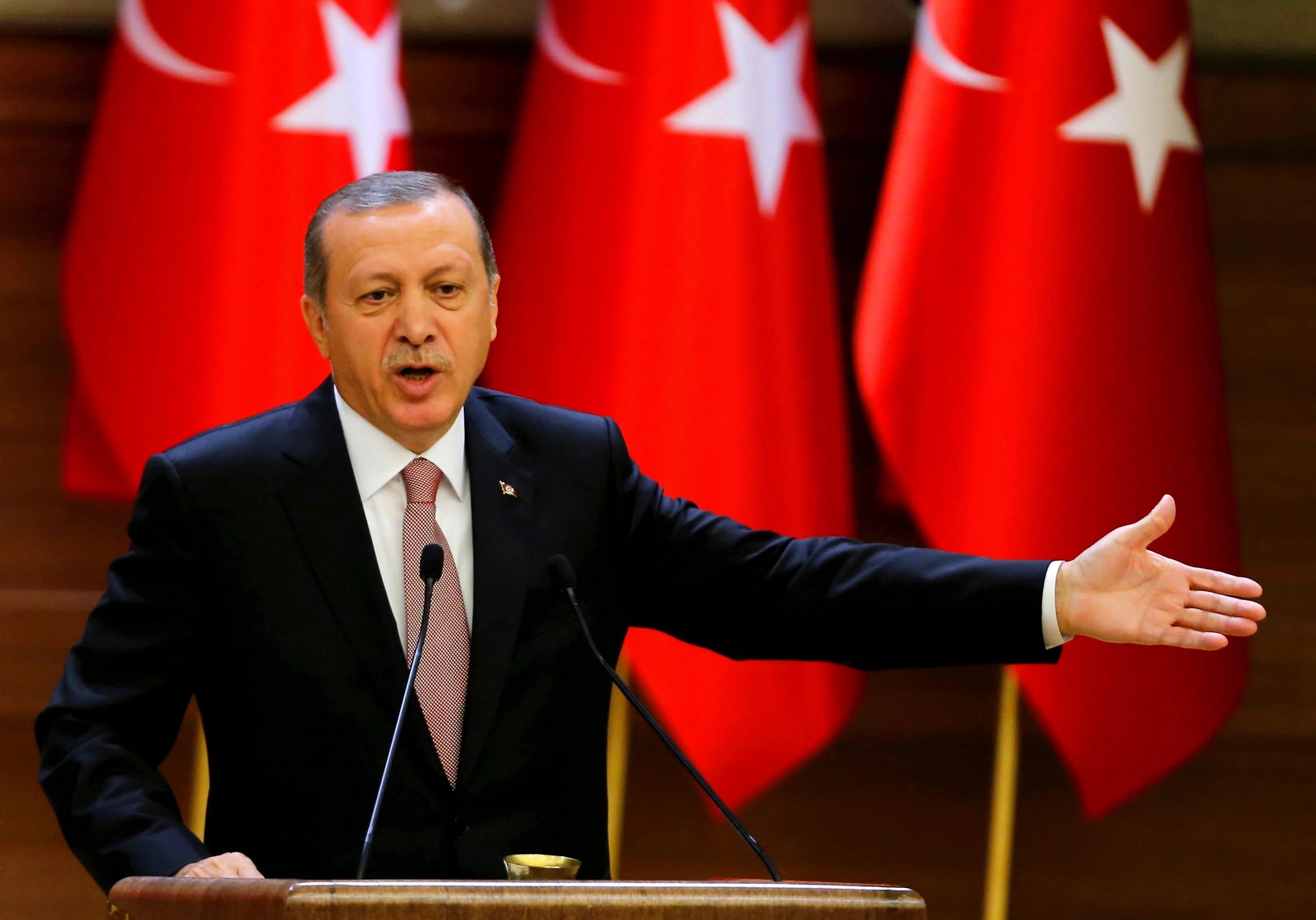 "תומך בתנועות אסלאמיות". נשיא טורקיה ארדואן
