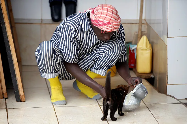 אסיר מאכיל חתול בקניה