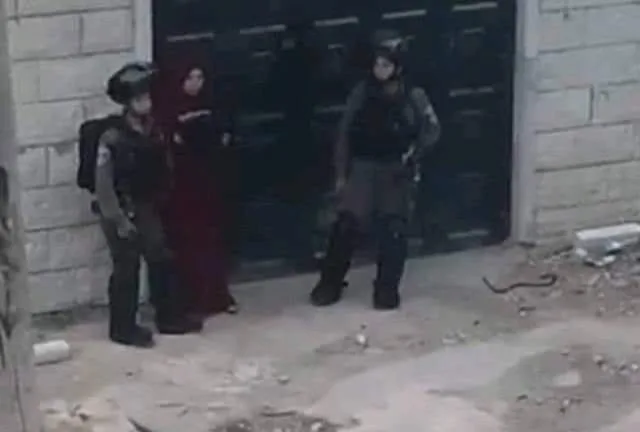 דיווח פלסטיני: מעצרה של אינאס אל-עצאפרה, אישתו של קאסם אל-עצאפרה, אשר נעצרו בבית כאחל