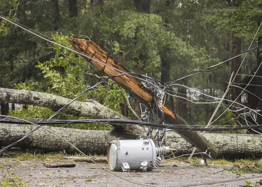 עצים וקווי חשמל שנפלו בעקבות סופת ההוריקן דוריאן בפלורידה, ארה''ב