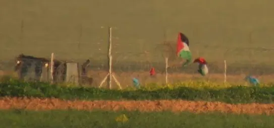 דגלי פלסטין שנתלו על הגדר בגבולת רצועת עזה