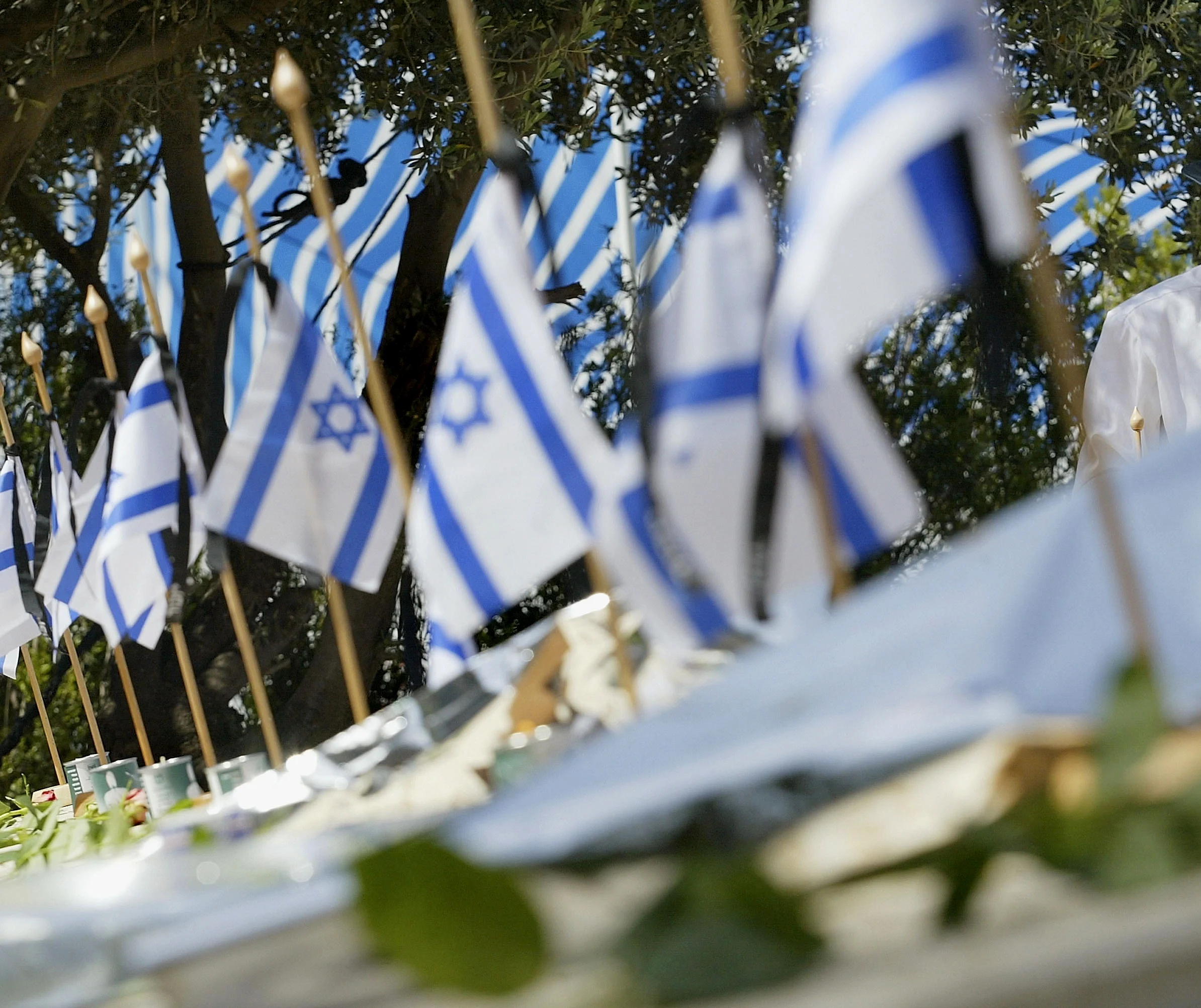 דגלי ישראל בבית עלמין צבאי ביום הזיכרון