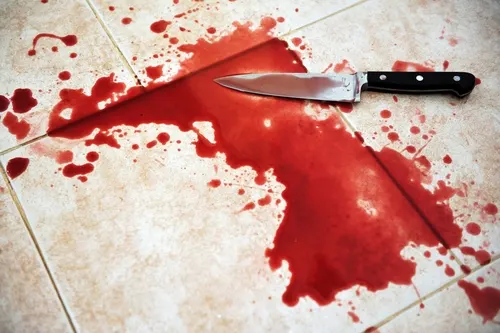 סכין מגואלת בדם בתוך שלולית דם