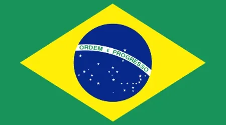 דגל ברזיל מונדיאל 2010
