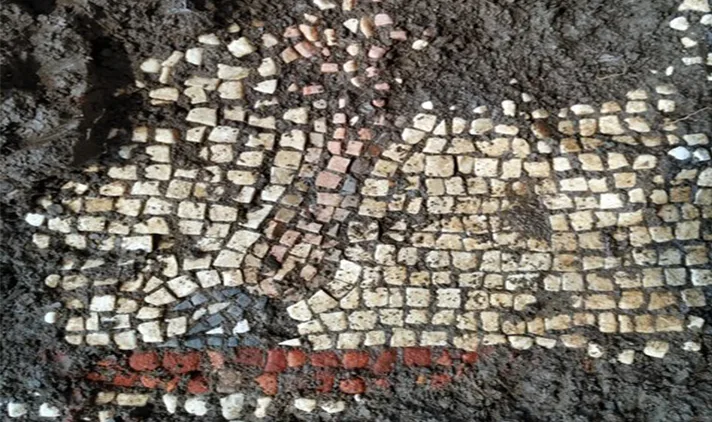 פסיפס נדיר בבית כנסת מהתקופה הרומית בגולן