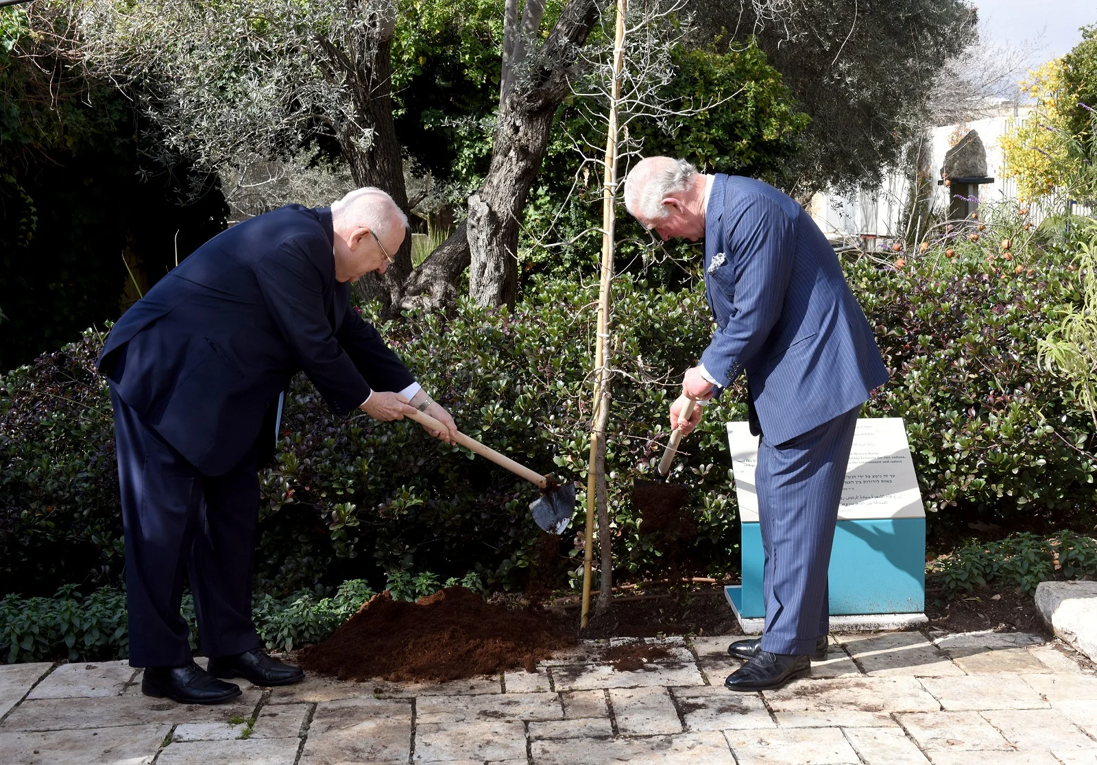 נסיך בריטניה צ'ארלס ונשיא המדינה ריבלין נוטעים עץ יחדיו