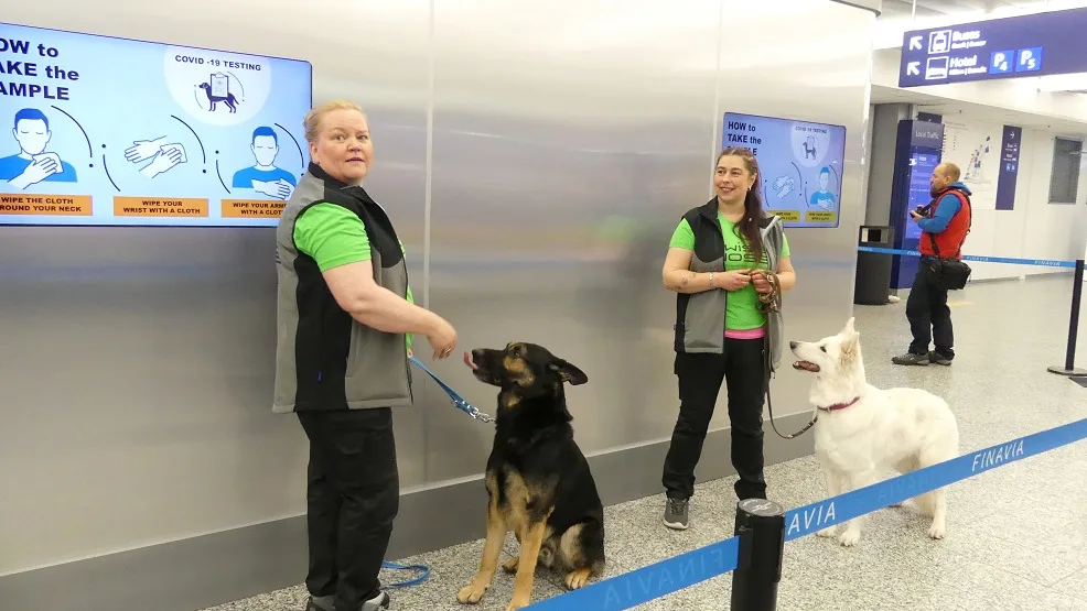 כלבים שאומנו לזהות קורונה בשדה התעופה בפינלנד