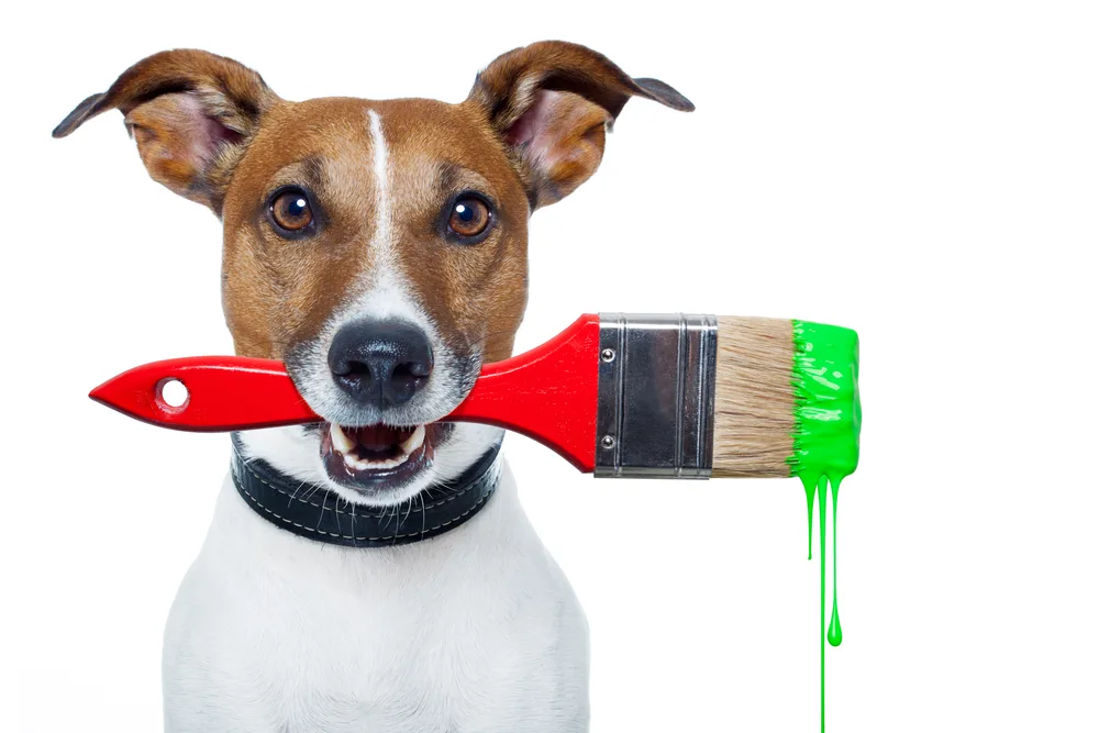 Dog,as,a,painter,with,a,brush,and,green,color