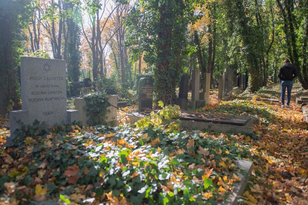 חלקת קבר צנחן ישראלי מרטין דוידוביץ' צ'כיה פראג