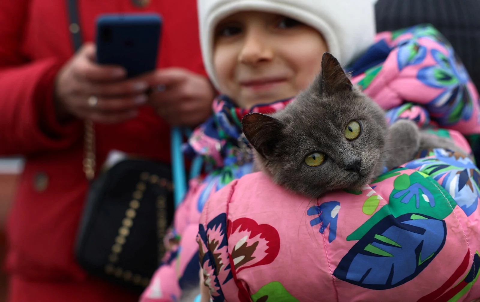 ילדה והחתול שלה לאחר שנמלטו מאוקראינה בפולין