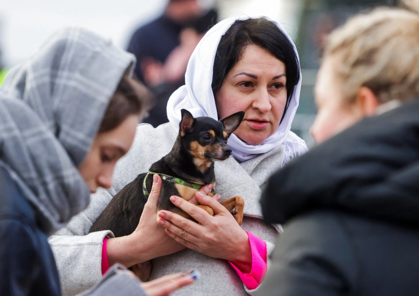 פליטה אוקראינית והכלב שלה בסלובקיה