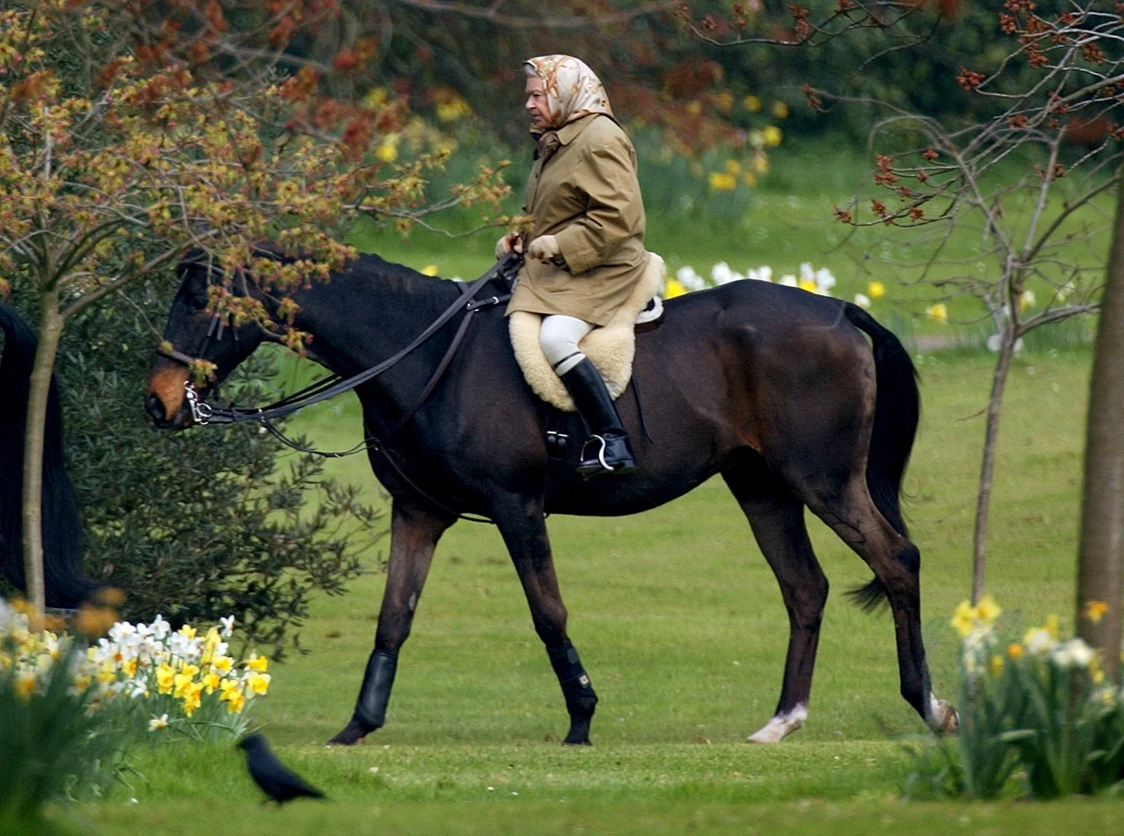 המלכה אליזבת' רוכבת על סוס בטירת ווינדזור