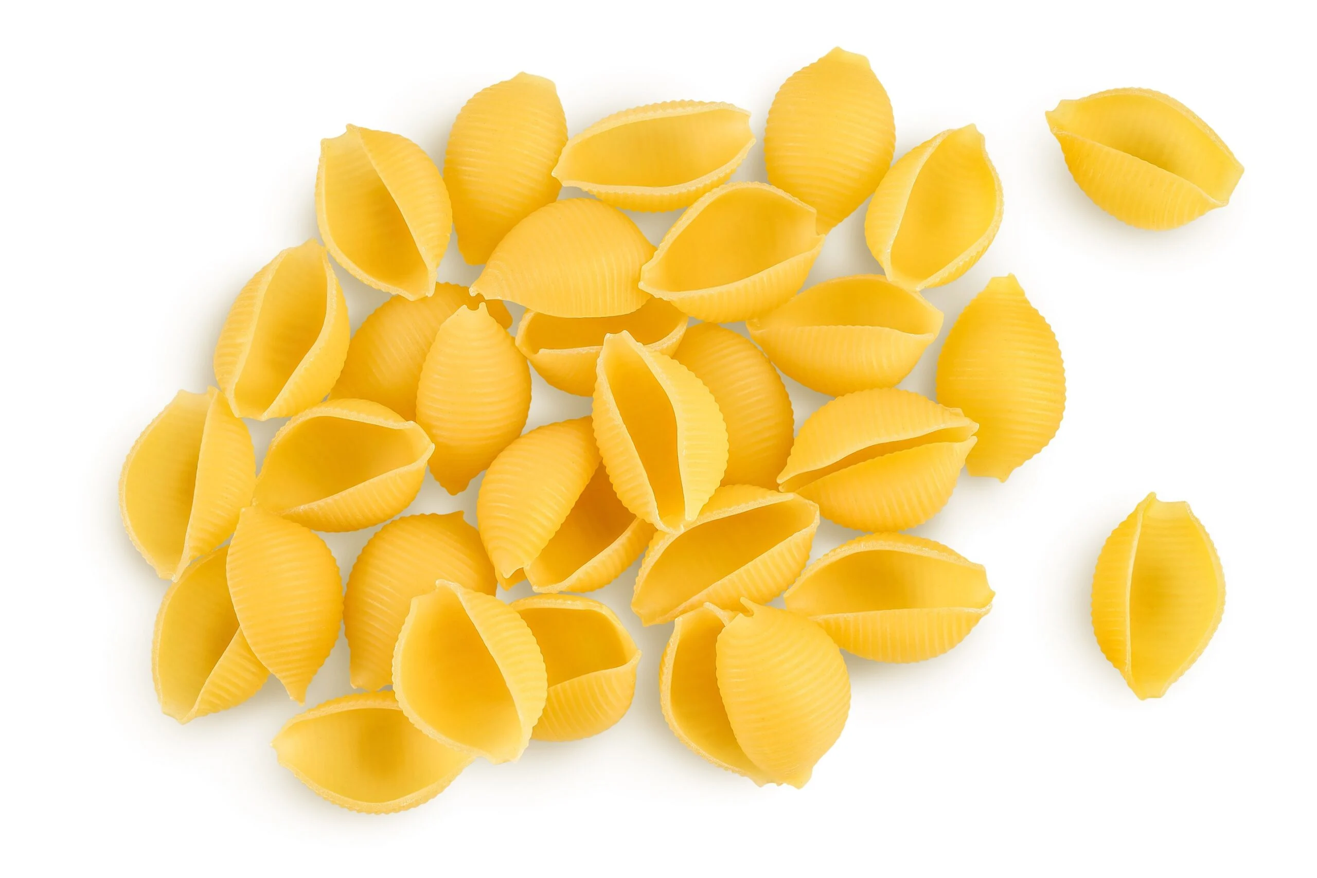 Uncooked,dried,conchiglie.,raw,organic,shell,pasta,isolated,on,white