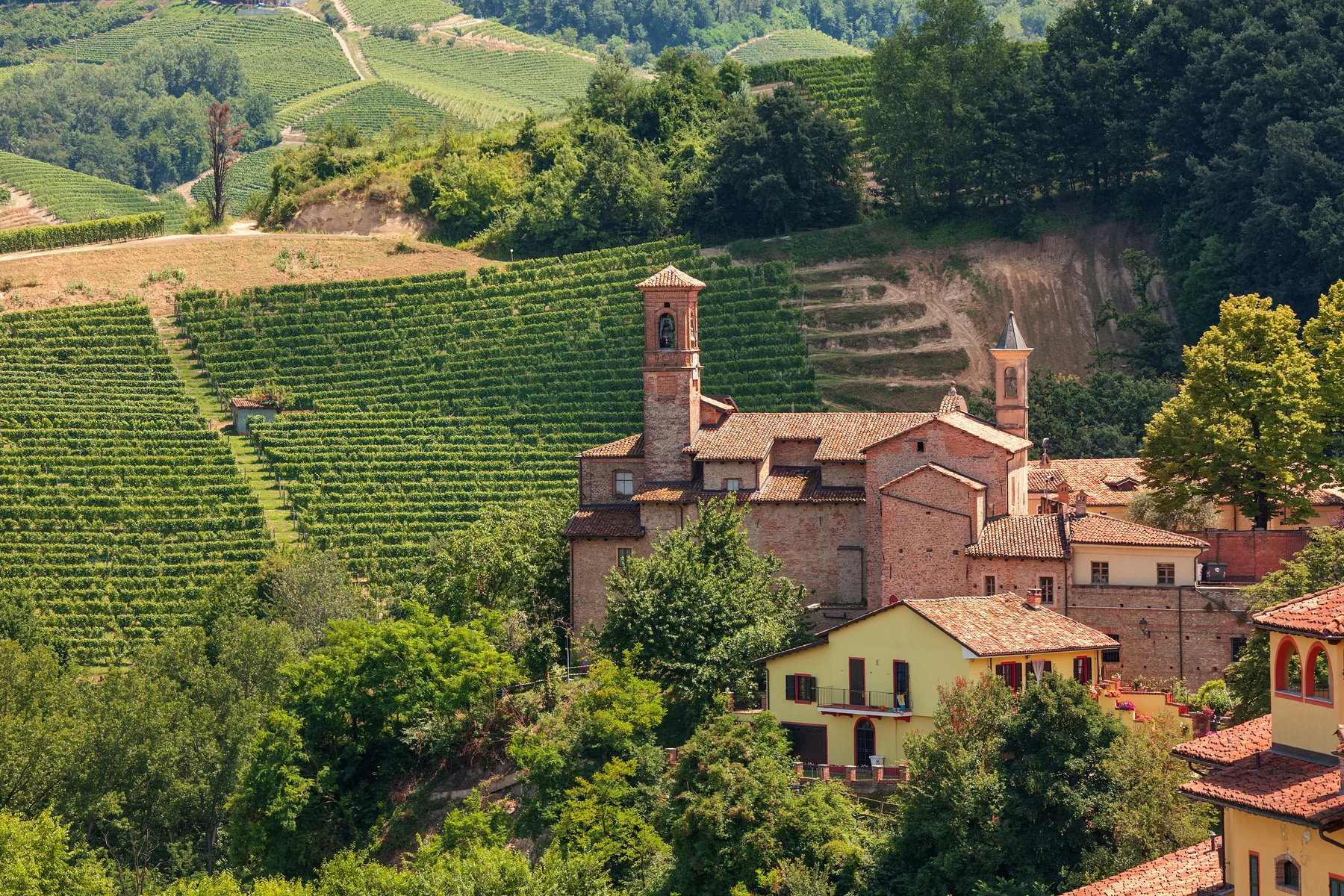 Small,parish,church,among,green,vineyards,in,piedmont,,northern,italy.
