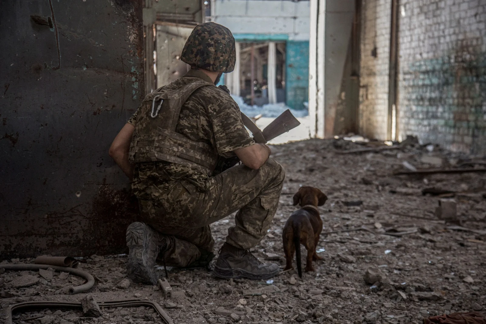 חייל אוקראיני וכלב בחזית