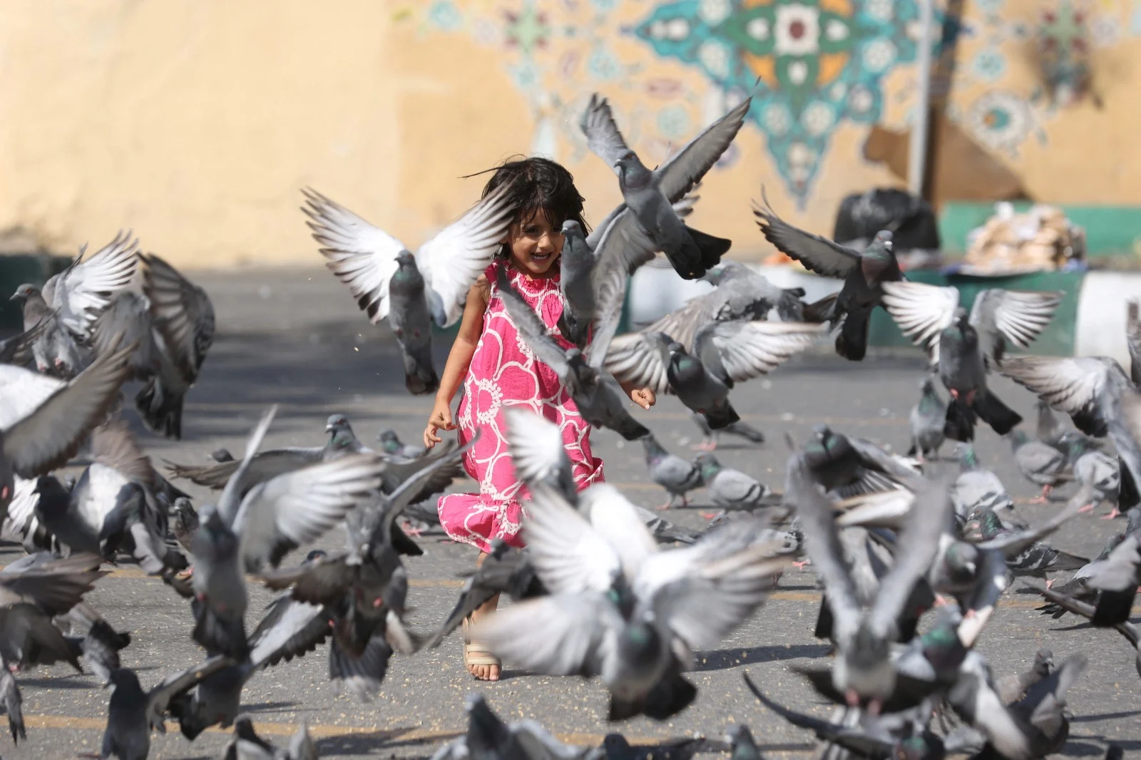 ילדה משחקת עם יונים בטהרן
