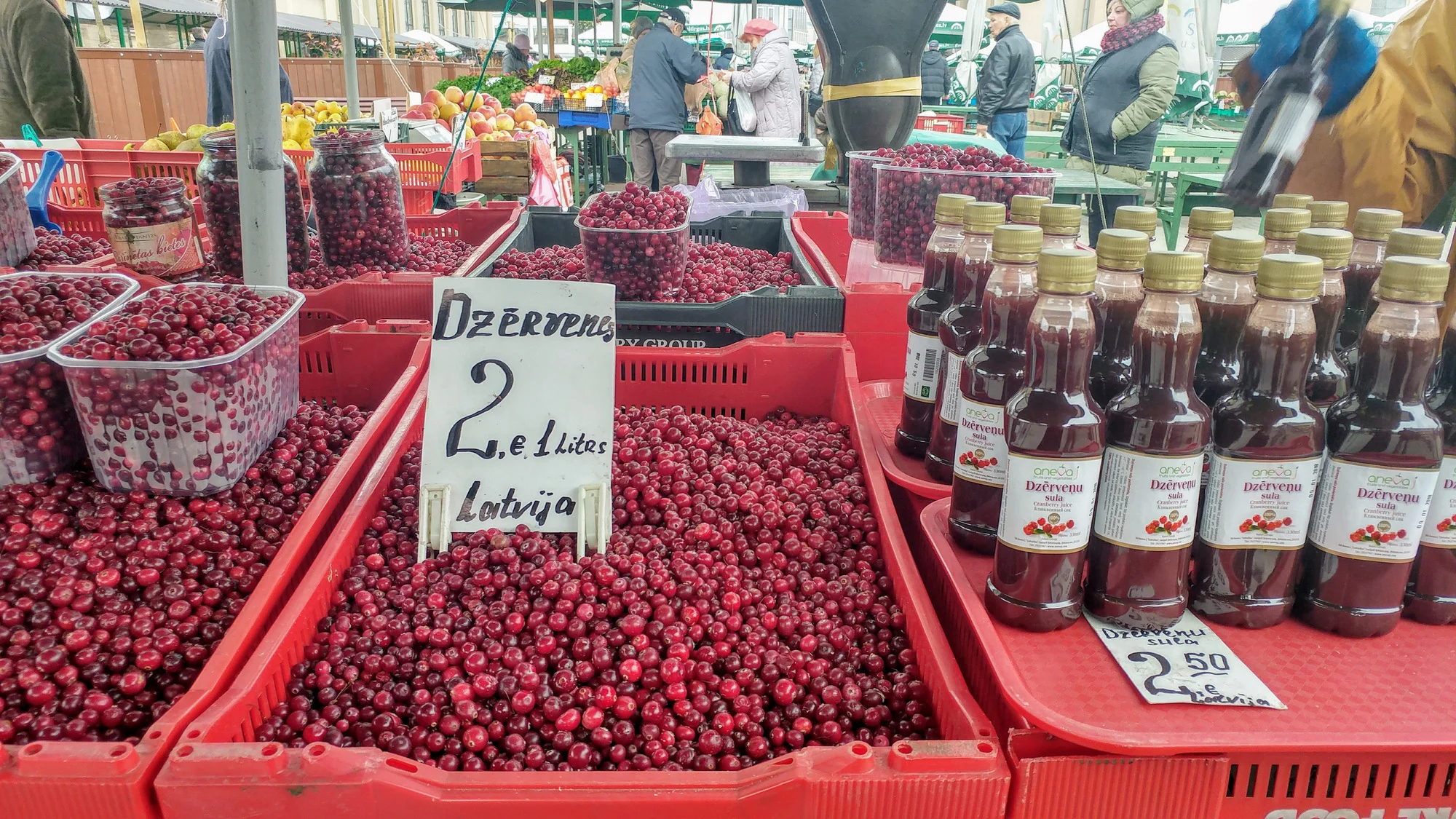 פירות יער בשוק גם בסתיו. צילום: מיכל בן ארי מנור