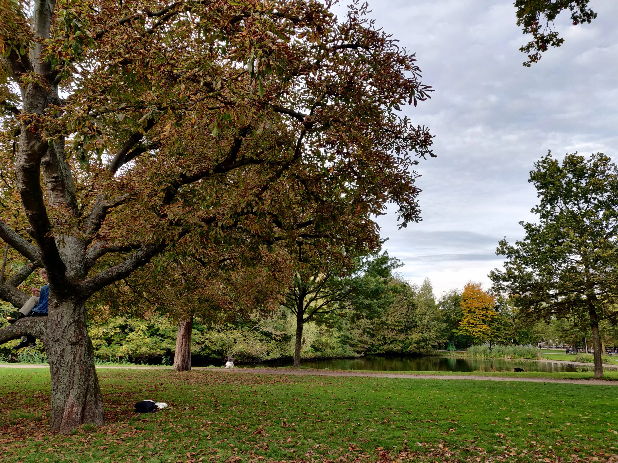פונדל פארק בסתיו. צילום: רחלי לביא דגן