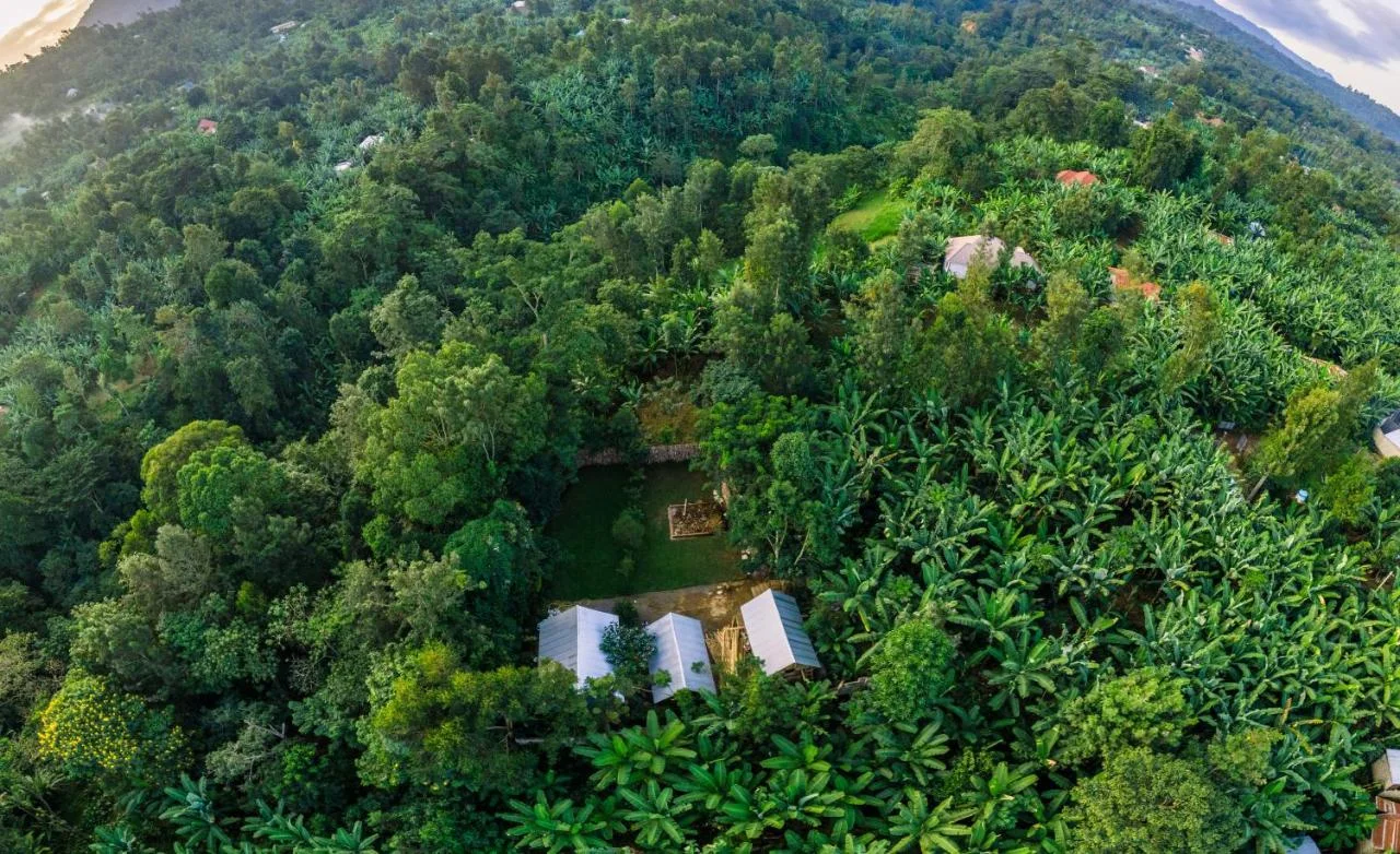 Banana Farm Eco Hostel