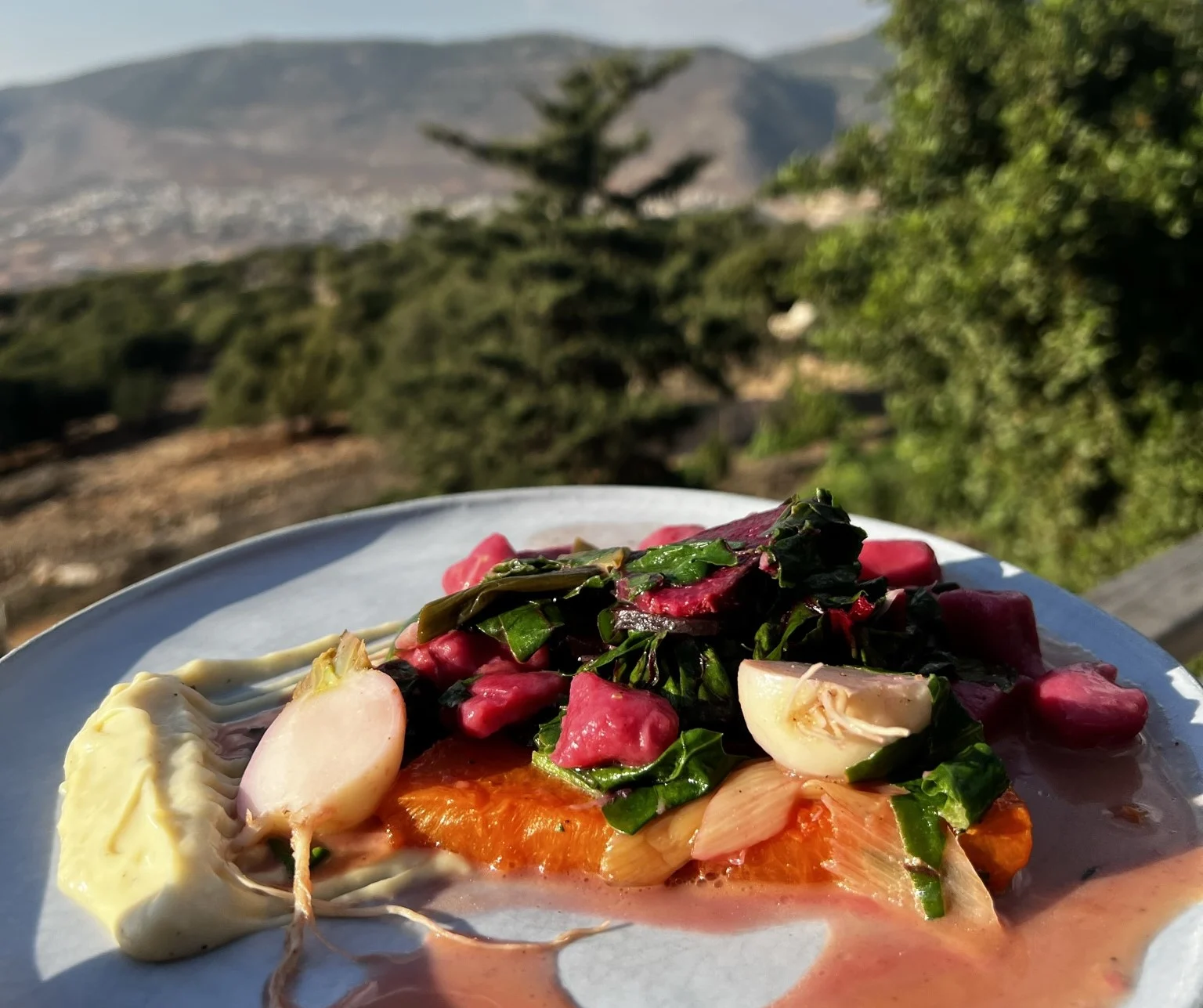 ביסטרו חוות רום. צילום אבנית סטרולוב