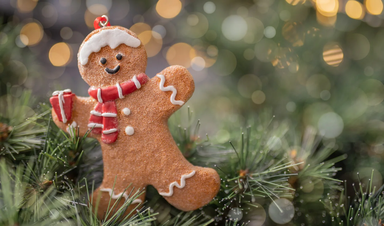 Gingerbread Cookie On A Fir Tree. Beautiful Background With Copy Space.