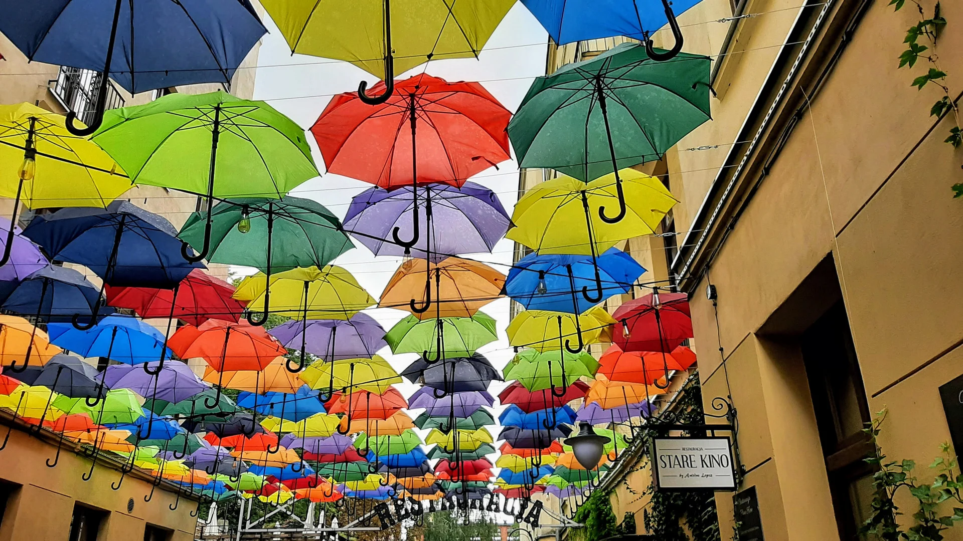 רחוב מטריות בלודז'