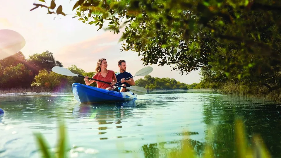 פארק הלאומי של עצי המנגרובים Yas Mangroves