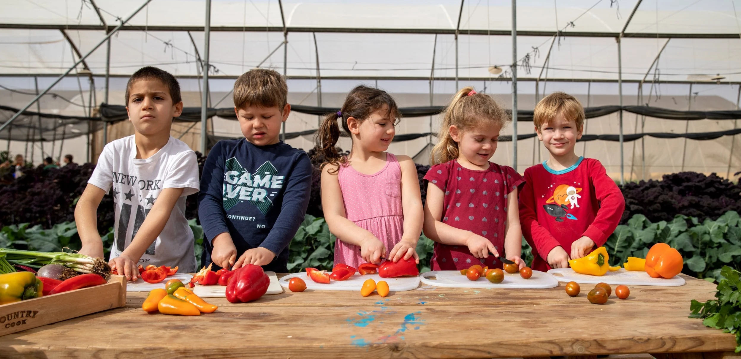 קטיף עצמי והכנת מנות מירקות טריים בחוות בין השיטין בחצבה