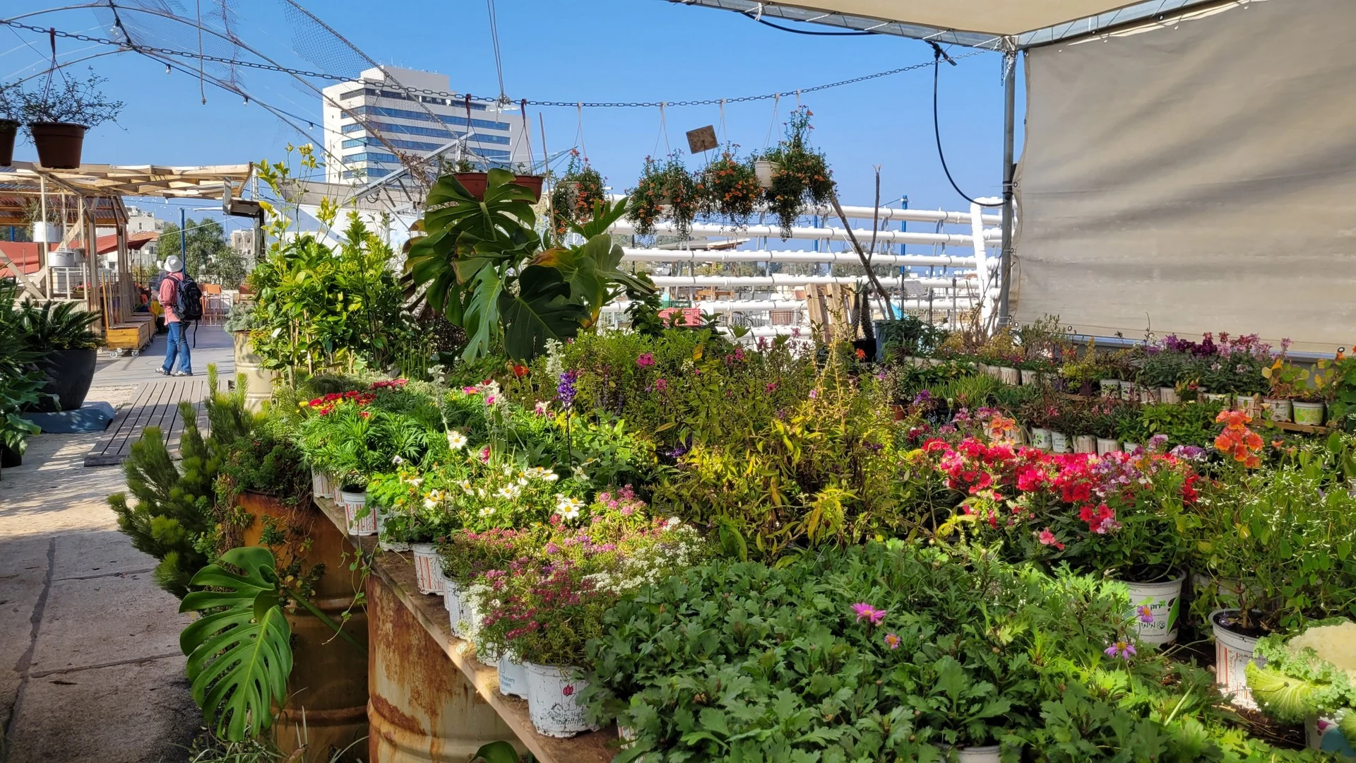 שוק צמחים חיפה