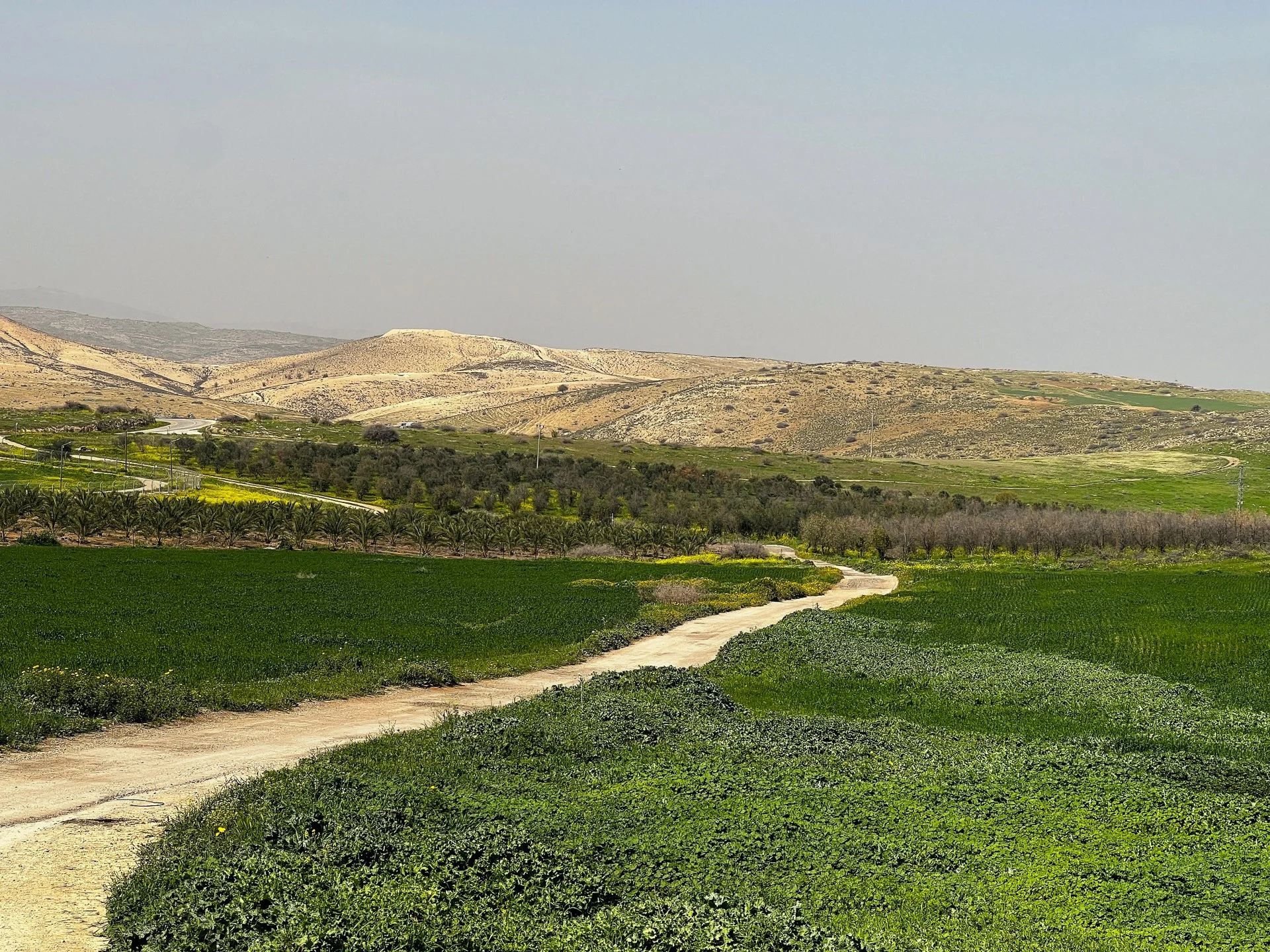 המדבר הירוק - בקעת הירדן
